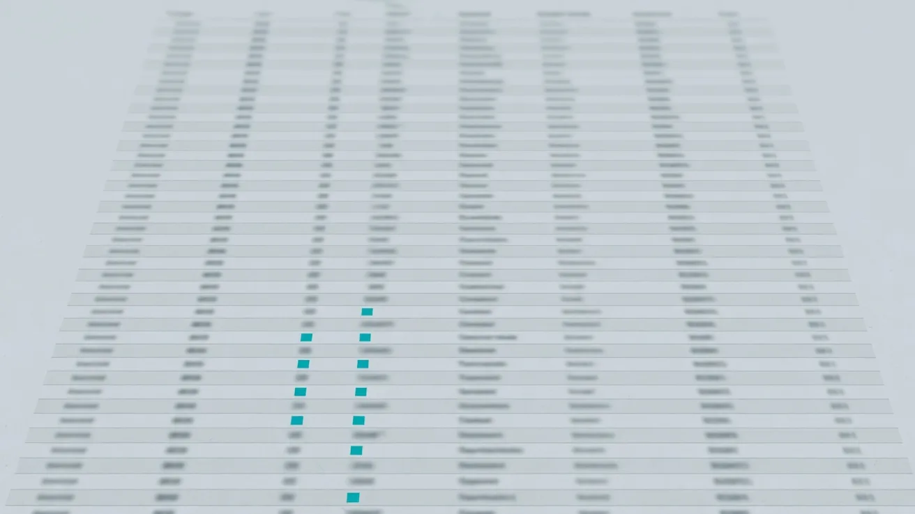 Longue table de centaines de lignes de déclaration en gris, dont quelques-unes marquées d'un petit carré turquoise.
